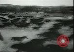 Image of Cavalry horses Nebraska United States USA, 1945, second 61 stock footage video 65675065420