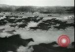Image of Cavalry horses Nebraska United States USA, 1945, second 62 stock footage video 65675065420