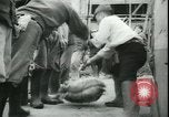 Image of Kure harbor Kure Japan, 1945, second 22 stock footage video 65675065422