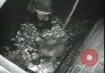 Image of Kure harbor Kure Japan, 1945, second 25 stock footage video 65675065422