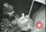 Image of Kure harbor Kure Japan, 1945, second 26 stock footage video 65675065422