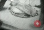 Image of Kure harbor Kure Japan, 1945, second 29 stock footage video 65675065422