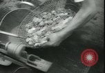 Image of Kure harbor Kure Japan, 1945, second 41 stock footage video 65675065422