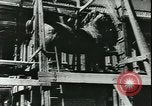 Immagine di Statue di cavalli Francia, 1944, secondo 4 filmato di repertorio 65675065424