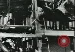 Immagine di Statue di cavalli Francia, 1944, secondo 6 filmato di repertorio 65675065424