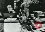 Immagine di Statue di cavalli Francia, 1944, secondo 19 filmato di repertorio 65675065424