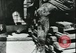 Immagine di Statue di cavalli Francia, 1944, secondo 20 filmato di repertorio 65675065424