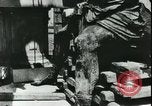 Immagine di Statue di cavalli Francia, 1944, secondo 21 filmato di repertorio 65675065424
