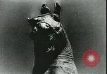 Immagine di Statue di cavalli Francia, 1944, secondo 46 filmato di repertorio 65675065424