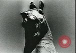 Immagine di Statue di cavalli Francia, 1944, secondo 47 filmato di repertorio 65675065424