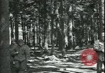 Standbild Die Opfer der Konzentrationslager im Wald Deutschland, 1945, aus Sekunde 5 historischem Filmmaterial Videoclip 65675065440