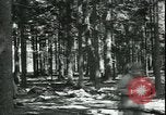 Standbild Die Opfer der Konzentrationslager im Wald Deutschland, 1945, aus Sekunde 8 historischem Filmmaterial Videoclip 65675065440