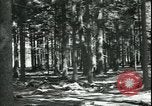 Standbild Die Opfer der Konzentrationslager im Wald Deutschland, 1945, aus Sekunde 9 historischem Filmmaterial Videoclip 65675065440