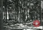 Standbild Die Opfer der Konzentrationslager im Wald Deutschland, 1945, aus Sekunde 10 historischem Filmmaterial Videoclip 65675065440