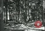 Standbild Die Opfer der Konzentrationslager im Wald Deutschland, 1945, aus Sekunde 11 historischem Filmmaterial Videoclip 65675065440