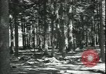 Standbild Die Opfer der Konzentrationslager im Wald Deutschland, 1945, aus Sekunde 12 historischem Filmmaterial Videoclip 65675065440