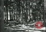 Standbild Die Opfer der Konzentrationslager im Wald Deutschland, 1945, aus Sekunde 13 historischem Filmmaterial Videoclip 65675065440