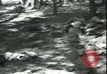 Standbild Die Opfer der Konzentrationslager im Wald Deutschland, 1945, aus Sekunde 14 historischem Filmmaterial Videoclip 65675065440
