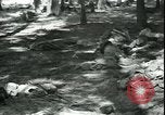 Standbild Die Opfer der Konzentrationslager im Wald Deutschland, 1945, aus Sekunde 15 historischem Filmmaterial Videoclip 65675065440