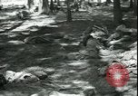 Standbild Die Opfer der Konzentrationslager im Wald Deutschland, 1945, aus Sekunde 16 historischem Filmmaterial Videoclip 65675065440
