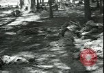 Standbild Die Opfer der Konzentrationslager im Wald Deutschland, 1945, aus Sekunde 17 historischem Filmmaterial Videoclip 65675065440