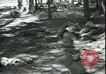 Standbild Die Opfer der Konzentrationslager im Wald Deutschland, 1945, aus Sekunde 18 historischem Filmmaterial Videoclip 65675065440