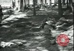 Standbild Die Opfer der Konzentrationslager im Wald Deutschland, 1945, aus Sekunde 19 historischem Filmmaterial Videoclip 65675065440