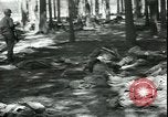 Standbild Die Opfer der Konzentrationslager im Wald Deutschland, 1945, aus Sekunde 20 historischem Filmmaterial Videoclip 65675065440
