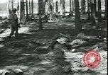 Standbild Die Opfer der Konzentrationslager im Wald Deutschland, 1945, aus Sekunde 21 historischem Filmmaterial Videoclip 65675065440