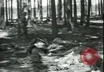 Standbild Die Opfer der Konzentrationslager im Wald Deutschland, 1945, aus Sekunde 23 historischem Filmmaterial Videoclip 65675065440