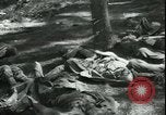 Standbild Die Opfer der Konzentrationslager im Wald Deutschland, 1945, aus Sekunde 24 historischem Filmmaterial Videoclip 65675065440