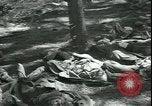 Standbild Die Opfer der Konzentrationslager im Wald Deutschland, 1945, aus Sekunde 25 historischem Filmmaterial Videoclip 65675065440