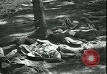 Standbild Die Opfer der Konzentrationslager im Wald Deutschland, 1945, aus Sekunde 26 historischem Filmmaterial Videoclip 65675065440