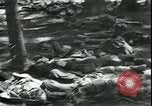 Standbild Die Opfer der Konzentrationslager im Wald Deutschland, 1945, aus Sekunde 28 historischem Filmmaterial Videoclip 65675065440