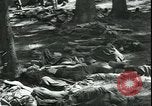 Standbild Die Opfer der Konzentrationslager im Wald Deutschland, 1945, aus Sekunde 29 historischem Filmmaterial Videoclip 65675065440