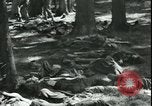 Standbild Die Opfer der Konzentrationslager im Wald Deutschland, 1945, aus Sekunde 30 historischem Filmmaterial Videoclip 65675065440