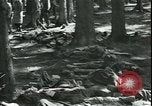 Standbild Die Opfer der Konzentrationslager im Wald Deutschland, 1945, aus Sekunde 31 historischem Filmmaterial Videoclip 65675065440