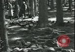 Standbild Die Opfer der Konzentrationslager im Wald Deutschland, 1945, aus Sekunde 32 historischem Filmmaterial Videoclip 65675065440