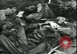 Standbild Die Opfer der Konzentrationslager im Wald Deutschland, 1945, aus Sekunde 38 historischem Filmmaterial Videoclip 65675065440