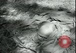 Standbild Die Opfer der Konzentrationslager im Wald Deutschland, 1945, aus Sekunde 60 historischem Filmmaterial Videoclip 65675065440
