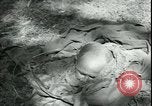 Standbild Die Opfer der Konzentrationslager im Wald Deutschland, 1945, aus Sekunde 62 historischem Filmmaterial Videoclip 65675065440
