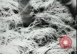 Image of Japanese troops Aleutian Islands Alaska USA, 1942, second 43 stock footage video 65675065450