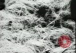 Image of Japanese troops Aleutian Islands Alaska USA, 1942, second 44 stock footage video 65675065450