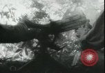 Image of Japanese troops Bataan Luzon Philippines, 1942, second 35 stock footage video 65675065451