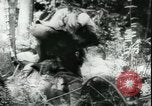 Image of Japanese troops Bataan Luzon Philippines, 1942, second 51 stock footage video 65675065451
