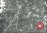 Image of Japanese troops Bataan Luzon Philippines, 1942, second 55 stock footage video 65675065451