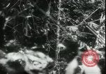 Image of Japanese troops Bataan Luzon Philippines, 1942, second 61 stock footage video 65675065451