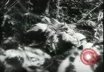 Image of Japanese troops Bataan Luzon Philippines, 1942, second 62 stock footage video 65675065451
