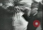 Image of Henri Petain with Hitler Montoire France, 1940, second 41 stock footage video 65675065457