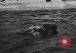 Image Festival norvégien y compris des farces espiègle Norvège, 1941, de la seconde 28 séquences d'archives historiques vidéo 65675065468